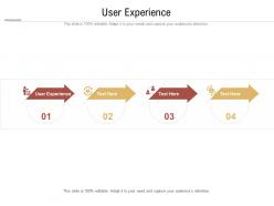User experience ppt powerpoint presentation styles portfolio cpb