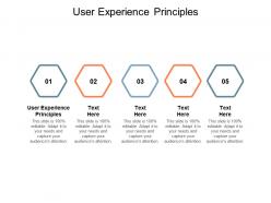 User experience principles ppt powerpoint presentation model files cpb
