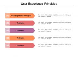 User experience principles ppt powerpoint presentation visual aids pictures cpb