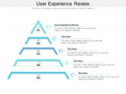 User experience review ppt powerpoint presentation layouts design ideas cpb