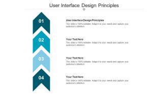 User interface design principles ppt powerpoint presentation infographic cpb