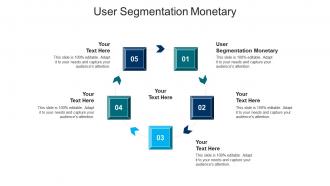 User segmentation monetary ppt powerpoint presentation infographic template introduction cpb