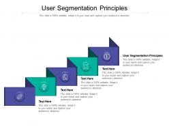 User segmentation principles ppt powerpoint presentation portfolio graphic tips cpb
