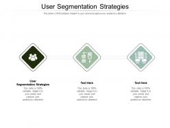 User segmentation strategies ppt powerpoint presentation professional layout cpb
