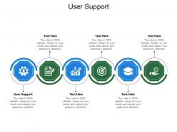 User support ppt powerpoint presentation gallery icon cpb