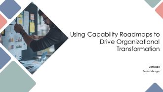 Using Capability Roadmaps To Drive Organizational Transformation PPT Demonstration AT