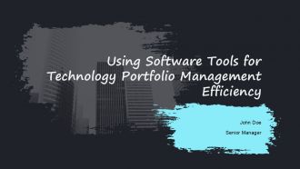 Using Software Tools For Technology Portfolio Management Efficiency PPT Sample AT