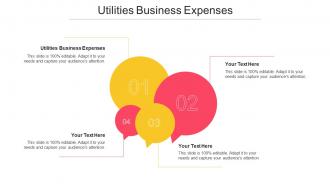 Utilities Business Expenses Ppt Powerpoint Presentation Portfolio Format Ideas Cpb