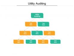 Utility auditing ppt powerpoint presentation portfolio background cpb