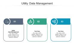 Utility data management ppt powerpoint presentation icon inspiration cpb