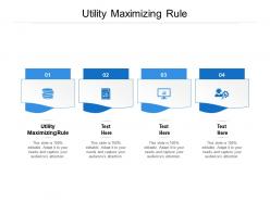 Utility maximizing rule ppt powerpoint presentation visual aids background images cpb