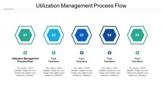 Utilization management process flow ppt powerpoint presentation pictures cpb