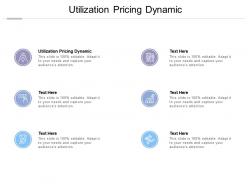 Utilization pricing dynamic ppt powerpoint presentation visual aids summary cpb