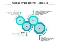 Utilizing organizational resources ppt powerpoint presentation infographic template structure cpb