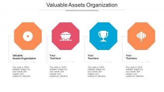 Valuable Assets Organization Ppt Powerpoint Presentation Portfolio Elements Cpb