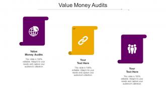 Value Money Audits Ppt Powerpoint Presentationmodel Brochure Cpb