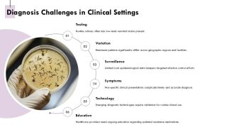 Vancomycin Resistant Enterococci Overview And Management PPT Mockup AT Impressive Compatible