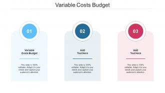 Variable Costs Budget In Powerpoint And Google Slides Cpb