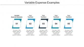 Variable expense examples ppt powerpoint presentation show skills cpb