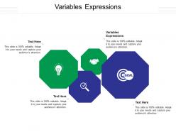 Variables expressions ppt powerpoint presentation styles example file cpb