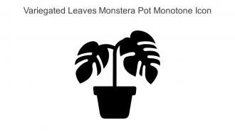 Variegated Leaves Monstera Pot Monotone Icon In Powerpoint Pptx Png And Editable Eps Format