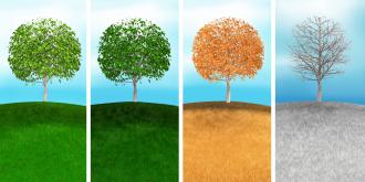 Variety of season with four colored tree with different backgrounds stock photo