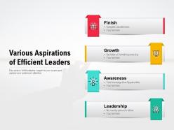 Various Aspirations Of Efficient Leaders