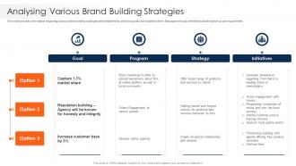 Various Brand Building Strategies Strawman Project Plan
