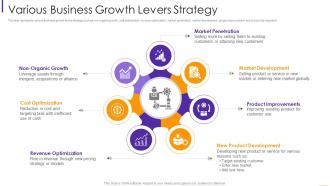 Various business growth levers strategy