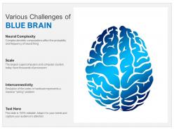 Various challenges of blue brain