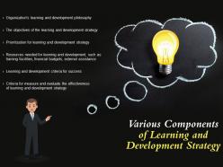 Various components of learning and development strategy