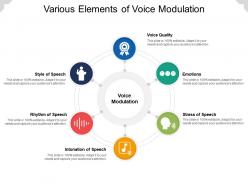 Various elements of voice modulation