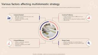 Various Factors Affecting Multidomestic Strategy