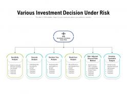Various investment decision under risk