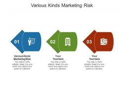 Various kinds marketing risk ppt powerpoint presentation model diagrams cpb