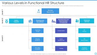 Various Levels In Functional Hr Structure