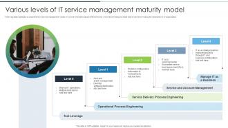 Various Levels Of IT Service Management Maturity Model