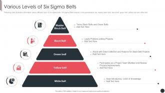 Various Levels Of Six Sigma Belts Quality Assurance Plan And Procedures Set 3