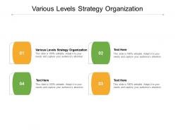Various levels strategy organization ppt powerpoint presentation outline clipart images cpb