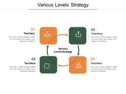 Various levels strategy ppt powerpoint presentation gallery slides cpb