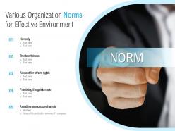 Various organization norms for effective environment