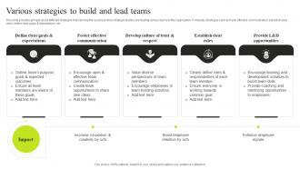 Various Strategies To Build And Lead Teams Minimizing Resistance Strategy SS V