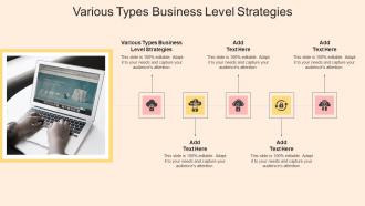 Various Types Business Level Strategies In Powerpoint And Google Slides Cpb