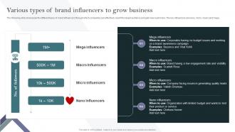 Various Types Of Brand Influencers To Grow Business Complete Guide To Develop Business