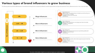 Various Types Of Brand Influencers To Grow Business Marketing Strategies Mkt Ss V