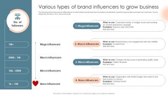 Various Types Of Brand Influencers To Grow Complete Introduction To Business Marketing MKT SS V