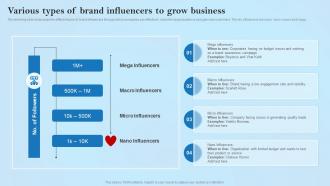 Various Types Of Brand Influencers To Grow Creative Business Marketing Ideas MKT SS V