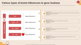 Various Types Of Brand Influencers To Grow Digital Marketing Strategies To Increase MKT SS V