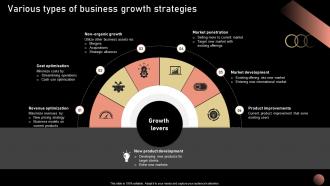 Various Types Of Business Growth Strategic Plan For Company Growth Strategy SS V