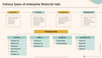 Various Types Of Enterprise Financial Risks Enterprise Management Mitigation Plan
